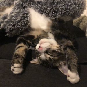 Meet your Posher, Katelynn